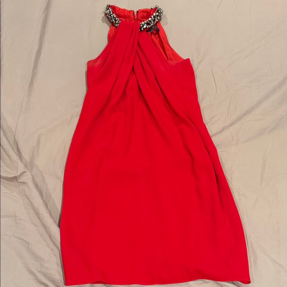 Carmen Marc Valvo Red Dress with Embellished Neckline